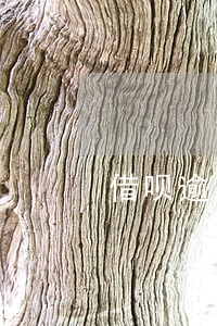 借呗逾期1000元要上门怎么办 借呗逾期1000元要上门怎么办