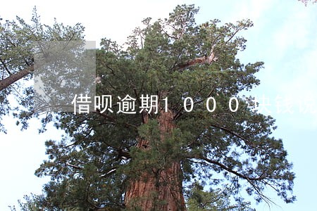 借呗逾期1000块钱说要上门 借呗逾期1000块钱说要上门
