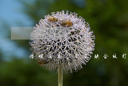 借呗逾期100块会被打电话催吗 借呗逾期100块会被打电话催吗