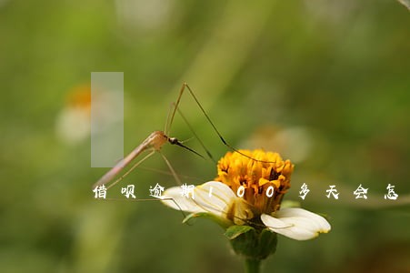 借呗逾期100多天会怎么样 借呗逾期100多天会怎么样