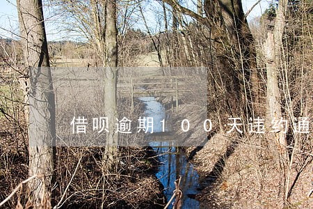 借呗逾期100天违约通告 借呗逾期100天违约通告
