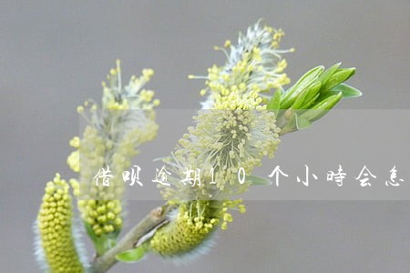 借呗逾期10个小时会怎样 借呗逾期10个小时会怎样