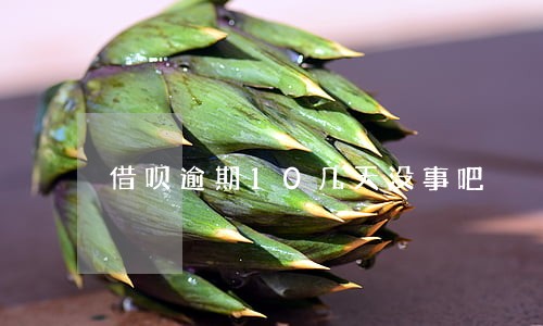 借呗逾期10几天没事吧 借呗逾期10几天没事吧