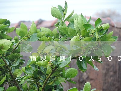 借呗逾期10天5000 借呗逾期10天5000