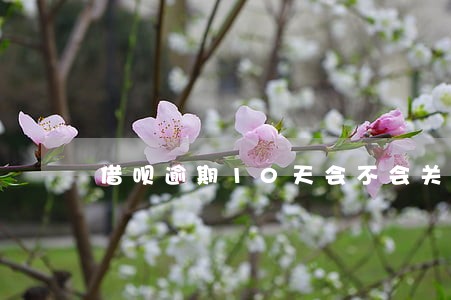 借呗逾期10天会不会关闭 借呗逾期10天会不会关闭