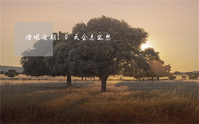 借呗逾期10天会怎么想 借呗逾期10天会怎么想