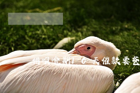 借呗逾期10天催款要爸妈电话 借呗逾期10天催款要爸妈电话