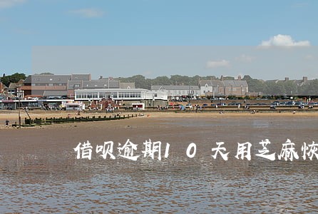 借呗逾期10天用芝麻恢复