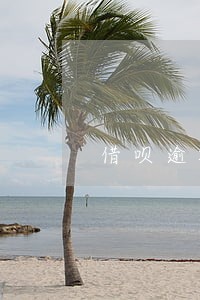 借呗逾期10天芝麻分掉几分