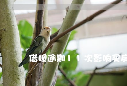 借呗逾期11次影响买房吗 借呗逾期11次影响买房吗