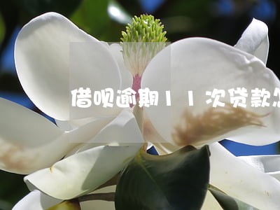 借呗逾期11次贷款怎么解决 借呗逾期11次贷款怎么解决