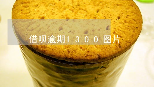 借呗逾期1300图片 借呗逾期1300图片
