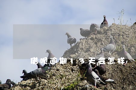 借呗逾期13天会怎样 借呗逾期13天会怎样