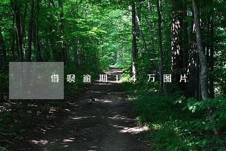 借呗逾期14万图片 借呗逾期14万图片