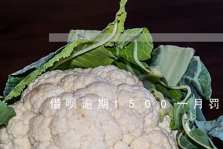 借呗逾期1500一月罚息多少 借呗逾期1500一月罚息多少