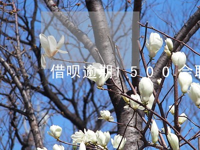 借呗逾期1500会联系家人吗
