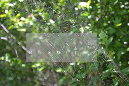 借呗逾期1500十天会怎样 借呗逾期1500十天会怎样