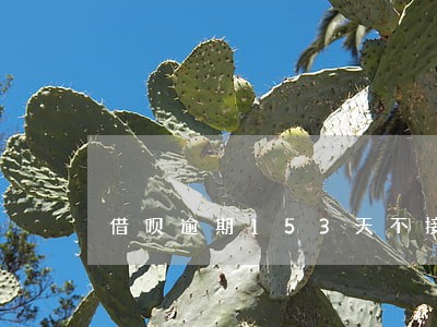 借呗逾期153天不接电话会怎样