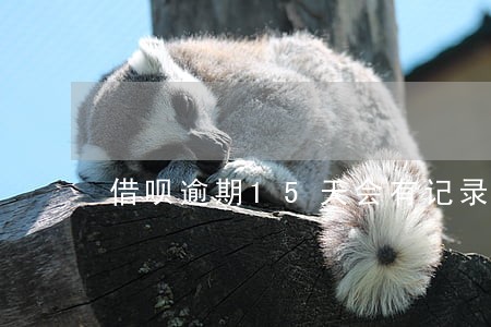 借呗逾期15天会有记录么 借呗逾期15天会有记录么