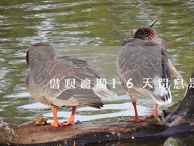借呗逾期16天罚息是多少 借呗逾期16天罚息是多少