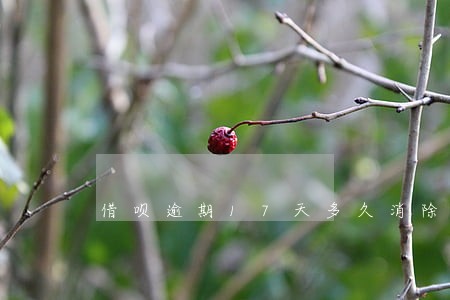 借呗逾期17天多久消除了 借呗逾期17天多久消除了