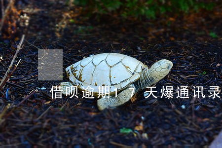 借呗逾期17天爆通讯录