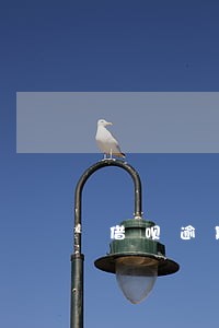 借呗逾期18万能协商吗 借呗逾期18万能协商吗