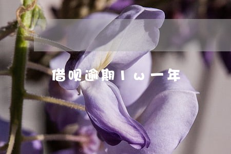 借呗逾期1w一年 借呗逾期1w一年