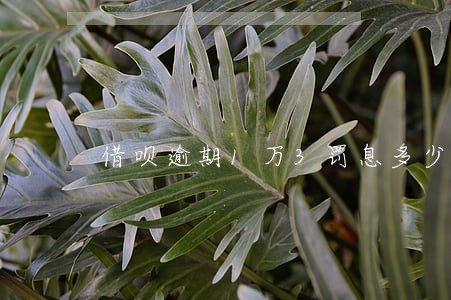 借呗逾期1万3罚息多少