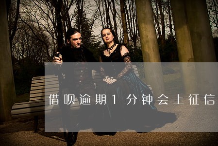 借呗逾期1分钟会上征信 借呗逾期1分钟会上征信