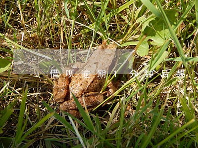 借呗逾期1分钟后果 借呗逾期1分钟后果