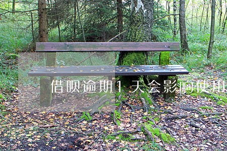 借呗逾期1天会影响使用吗 借呗逾期1天会影响使用吗