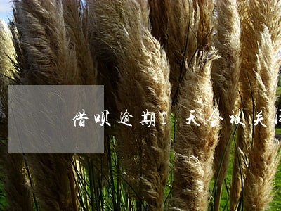 借呗逾期1天会被关闭吗 借呗逾期1天会被关闭吗