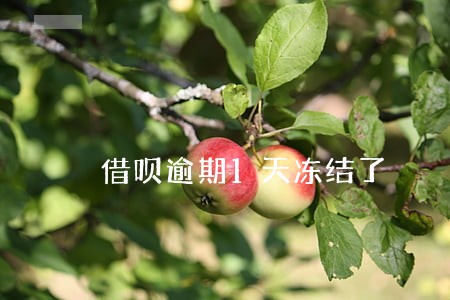 借呗逾期1天冻结了 借呗逾期1天冻结了