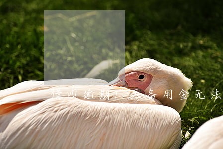 借呗逾期1天备用金无法用了 借呗逾期1天备用金无法用了