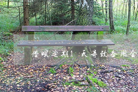 借呗逾期1天导致备用金用不了