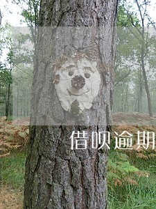 借呗逾期1天就打电话 借呗逾期1天就打电话