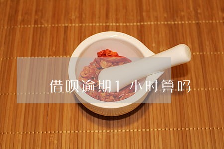 借呗逾期1小时算吗 借呗逾期1小时算吗