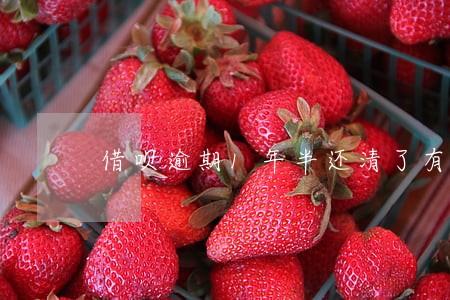 借呗逾期1年半还清了有一年 借呗逾期1年半还清了有一年
