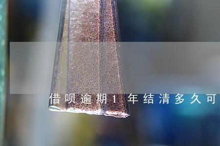 借呗逾期1年结清多久可以用 借呗逾期1年结清多久可以用