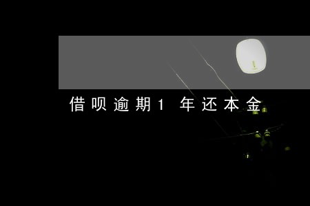 借呗逾期1年还本金
