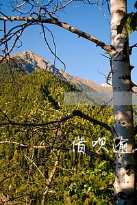 借呗逾期20万如何协商 借呗逾期20万如何协商