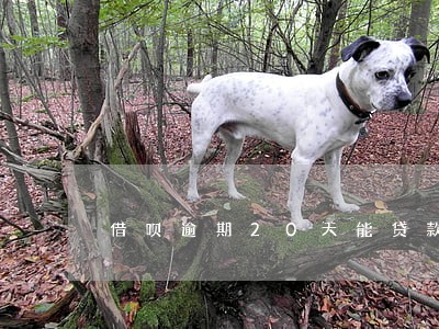 借呗逾期20天能贷款买车吗 借呗逾期20天能贷款买车吗