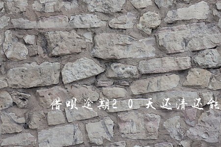 借呗逾期20天还清还能用吗 借呗逾期20天还清还能用吗