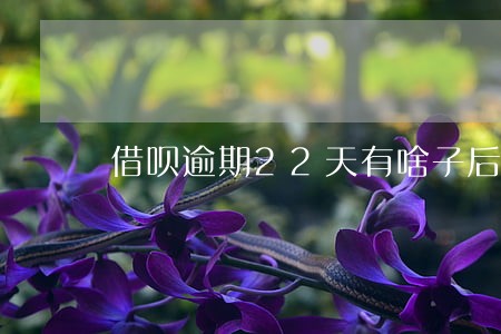 借呗逾期22天有啥子后果