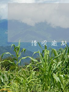 借呗逾期23天今天打电话还一半
