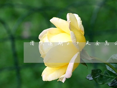 借呗逾期29天会怎么样 借呗逾期29天会怎么样