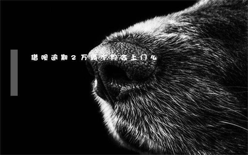 借呗逾期2万两个月会上门么