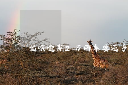 借呗逾期2万两年要还多少