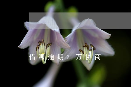 借呗逾期2万协商 借呗逾期2万协商